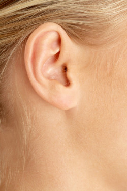 ear