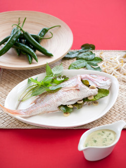 steamed snapper with green curry sauce